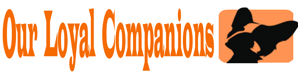 Our Loyal Companions